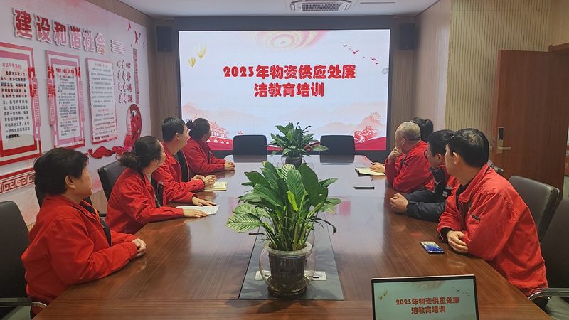 小标题：编程教育的兴起